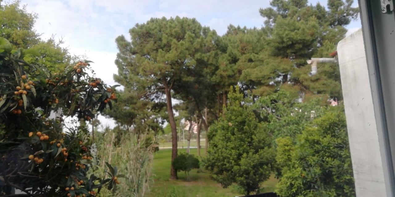 Guesthouse Marialva Park Corroios Dış mekan fotoğraf